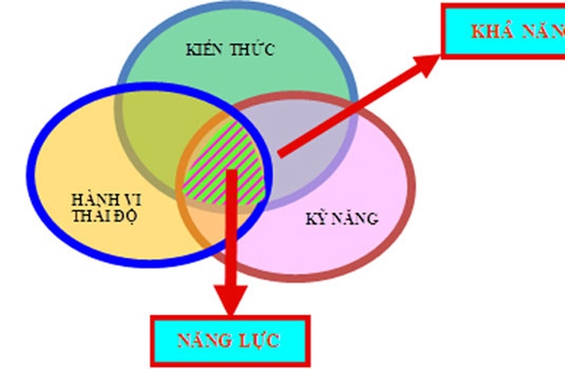 Tiêu chuẩn năng lực - Kim chỉ nam phát triển nguồn nhân lực